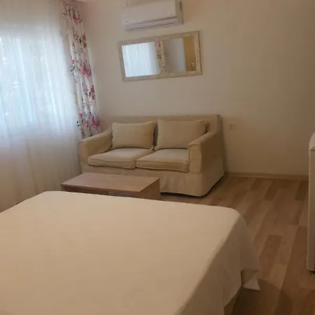 Ide Guest house *